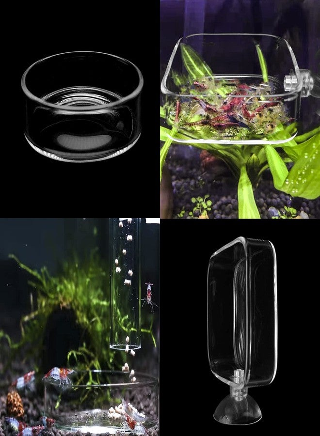 IAFVKAI Aquarium Shrimp Feeder Dish Glass Fish Tank Feeding Bowls, 2pcs Square Glass Food Bowl (60mm), 1pcs Round Fish Feeding Bowls with Suction Cups (60mm) - Image 3